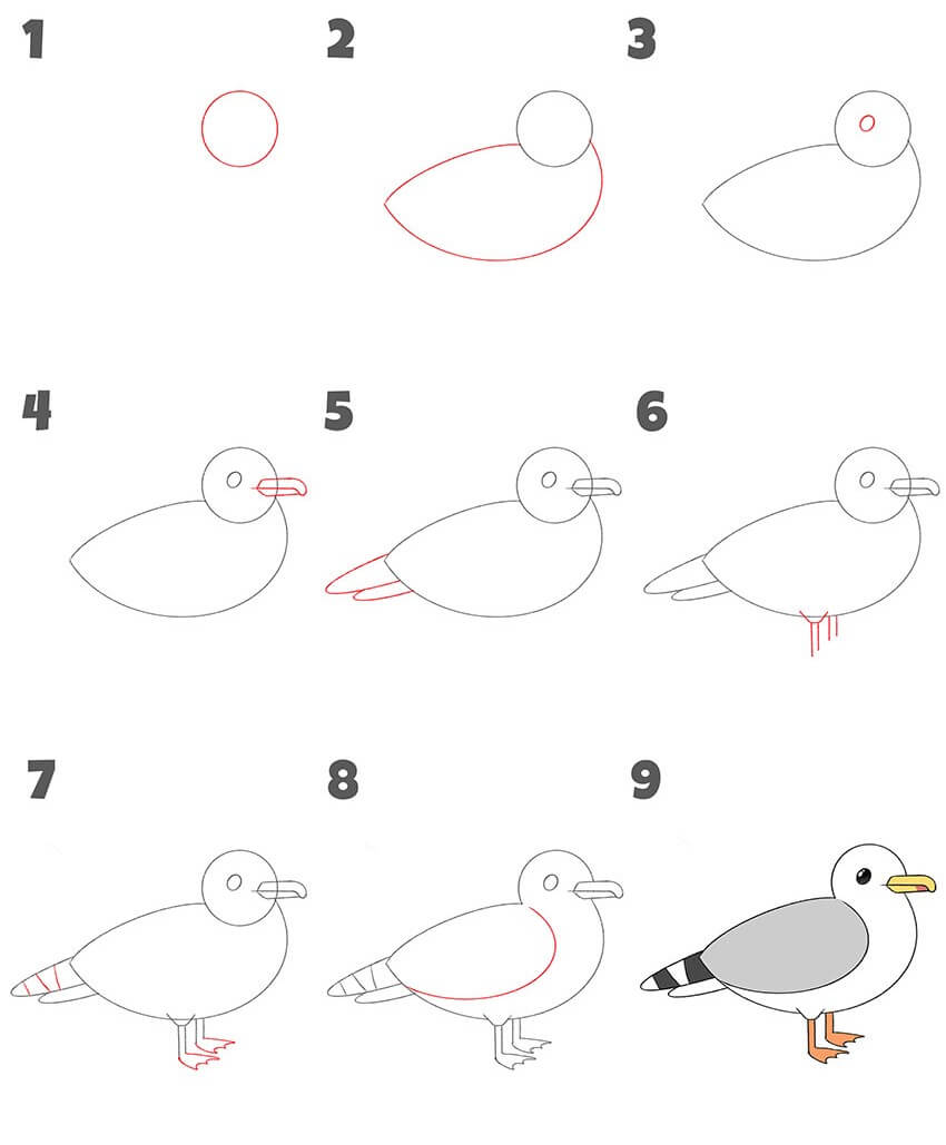 Idée mouette (4) dessin