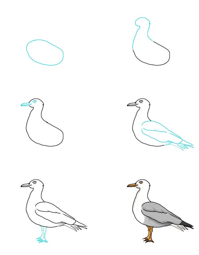 Idée mouette (5) dessin