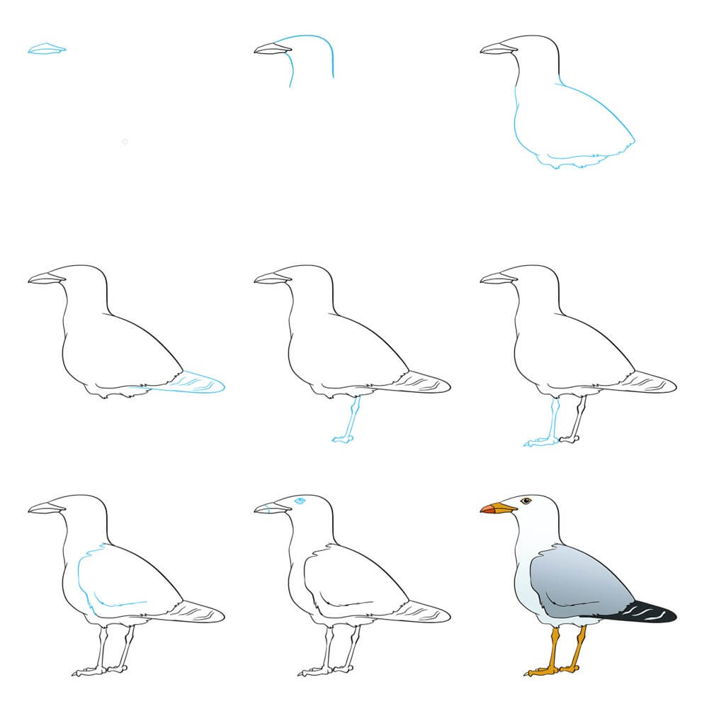 Mouettes dessin