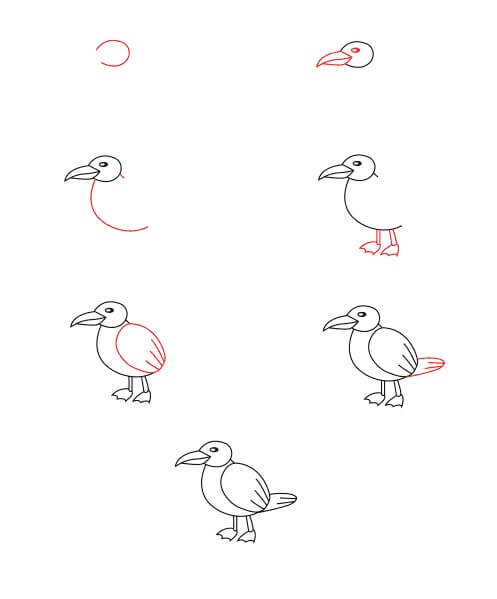 Mouette pour les enfants dessin