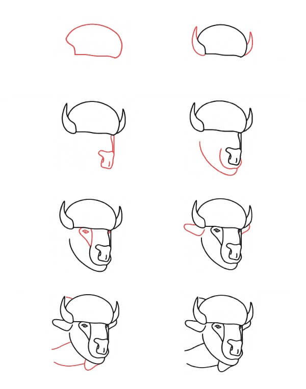 Tête de bison dessin