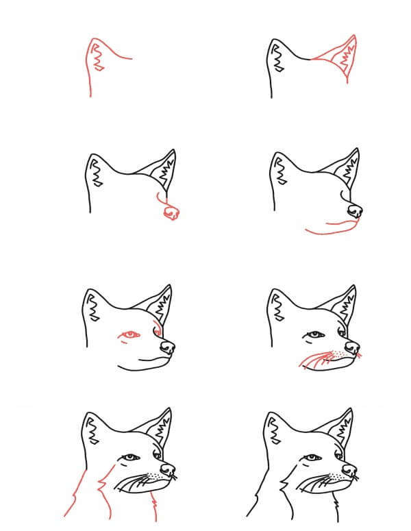 Tête de Coyote dessin