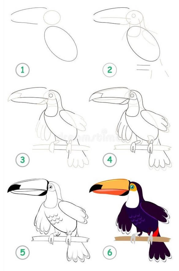 Idée toucan (1) dessin