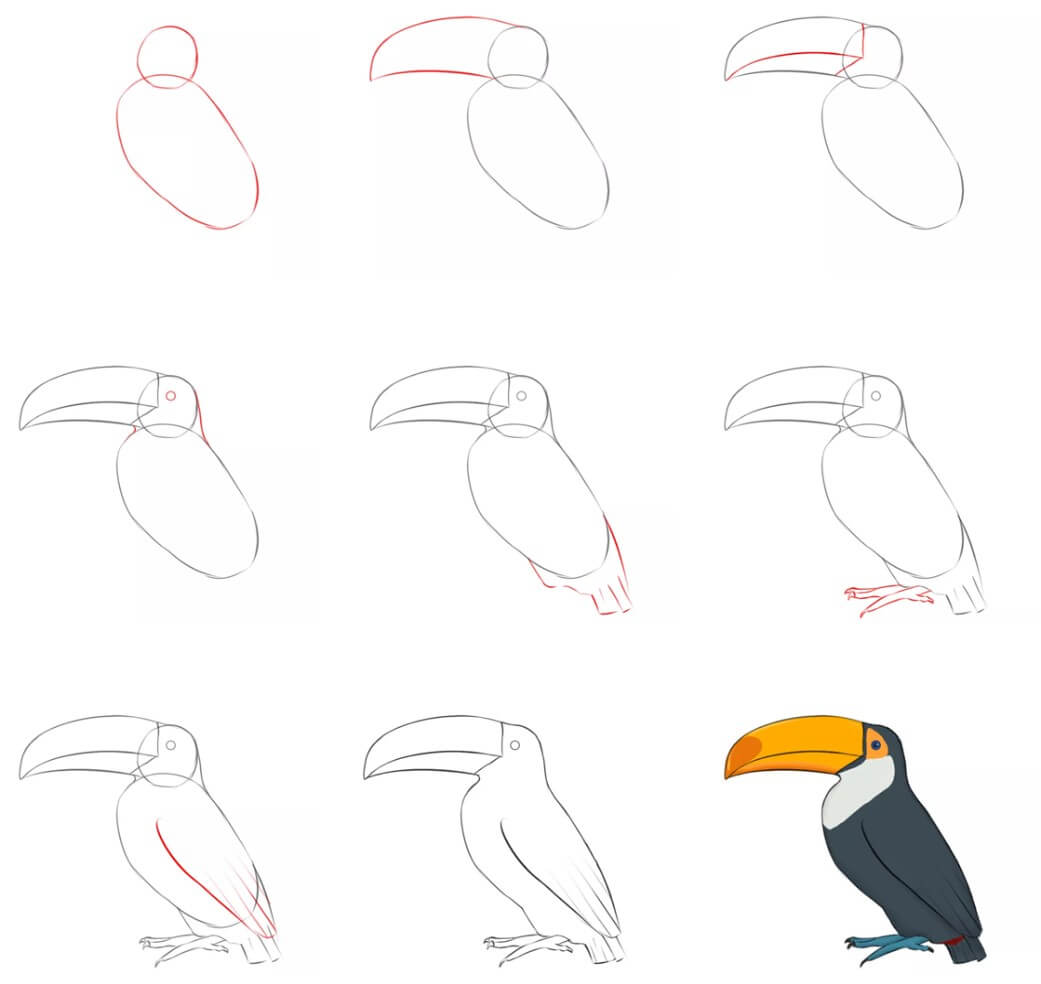 Idée toucan (10) dessin