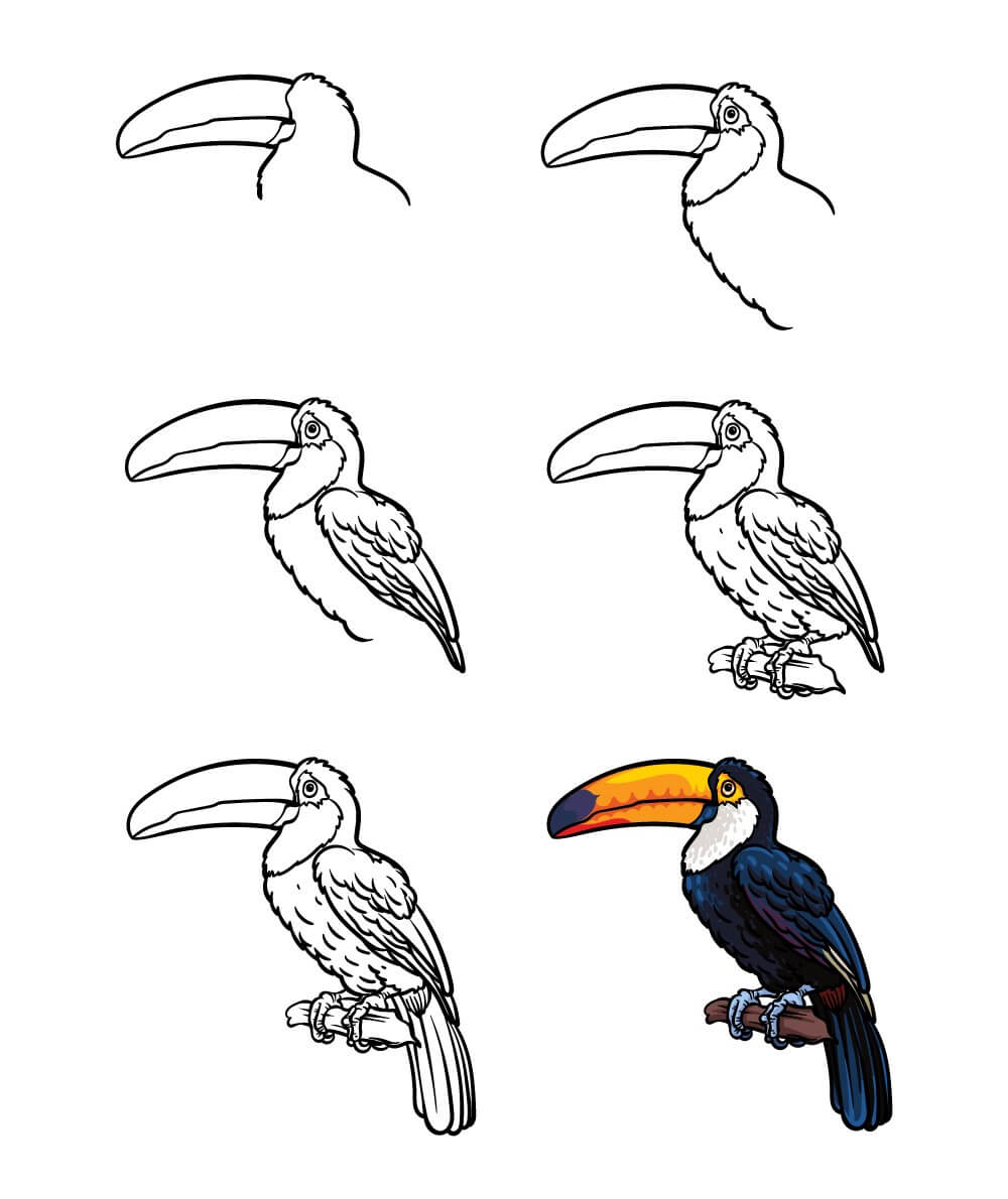 Idée toucan (15) dessin