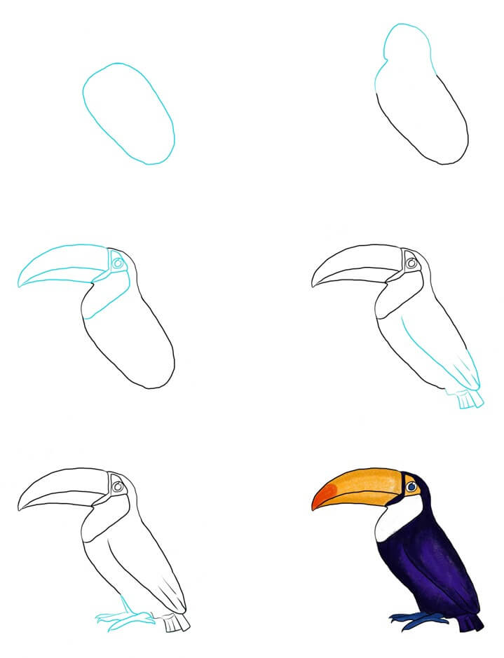 Idée toucan (17) dessin