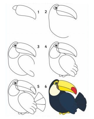 Idée toucan (2) dessin