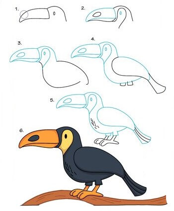 Idée toucan (5) dessin