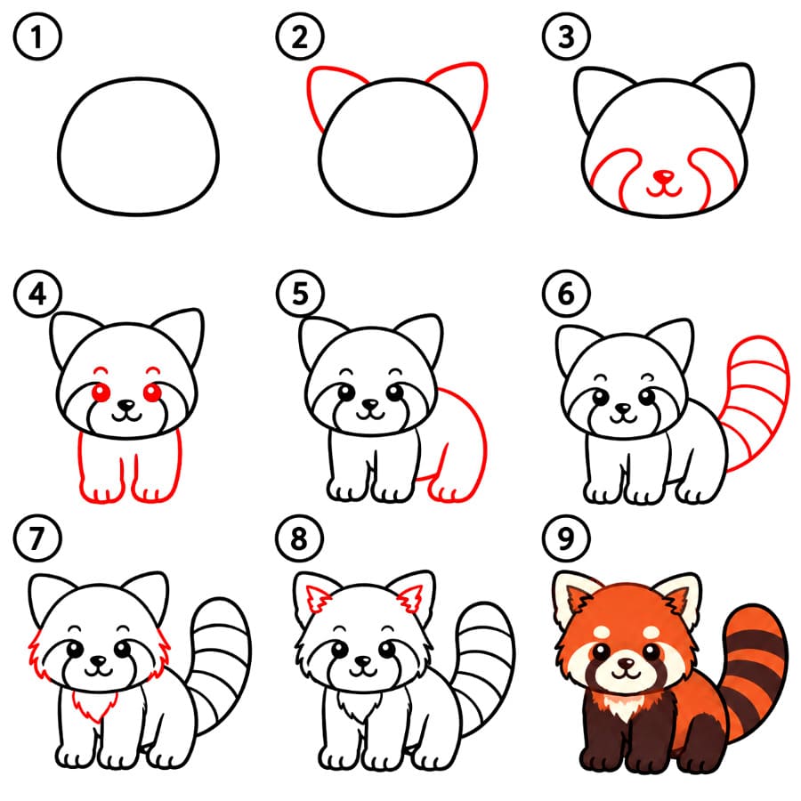 Joli panda roux dessin