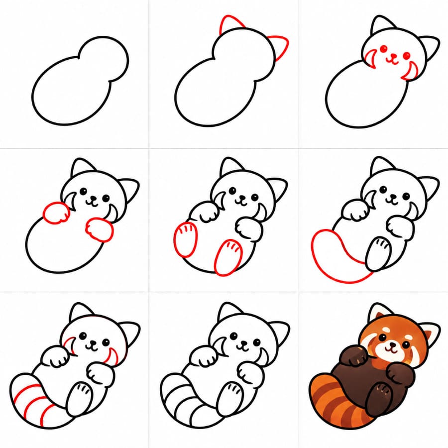 Panda roux qui roule dessin