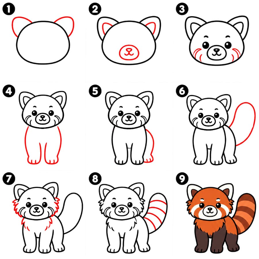 Panda roux simple dessin