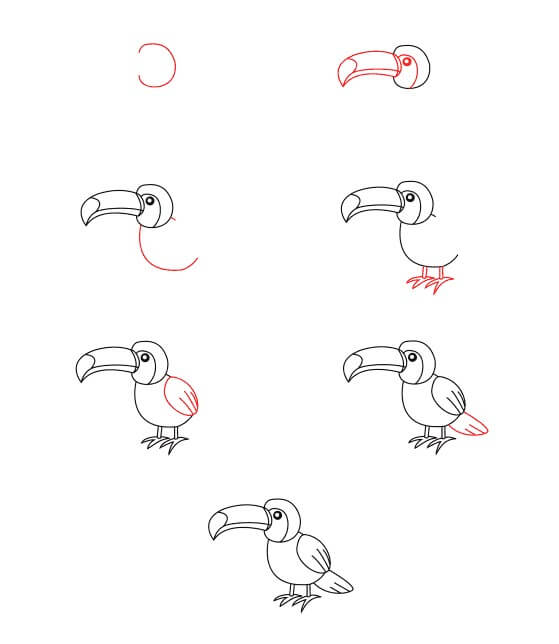 Toucan pour les enfants dessin