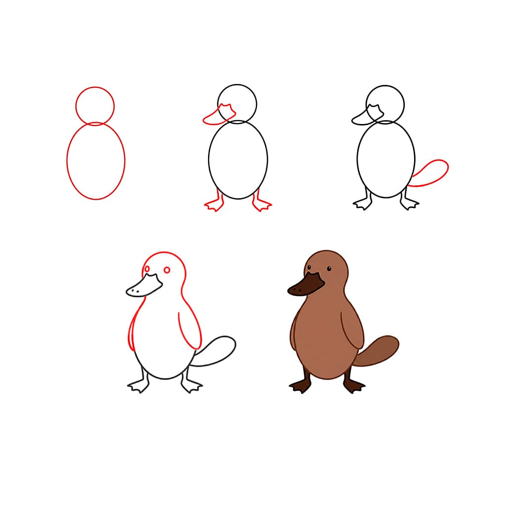 Ornithorynque debout dessin