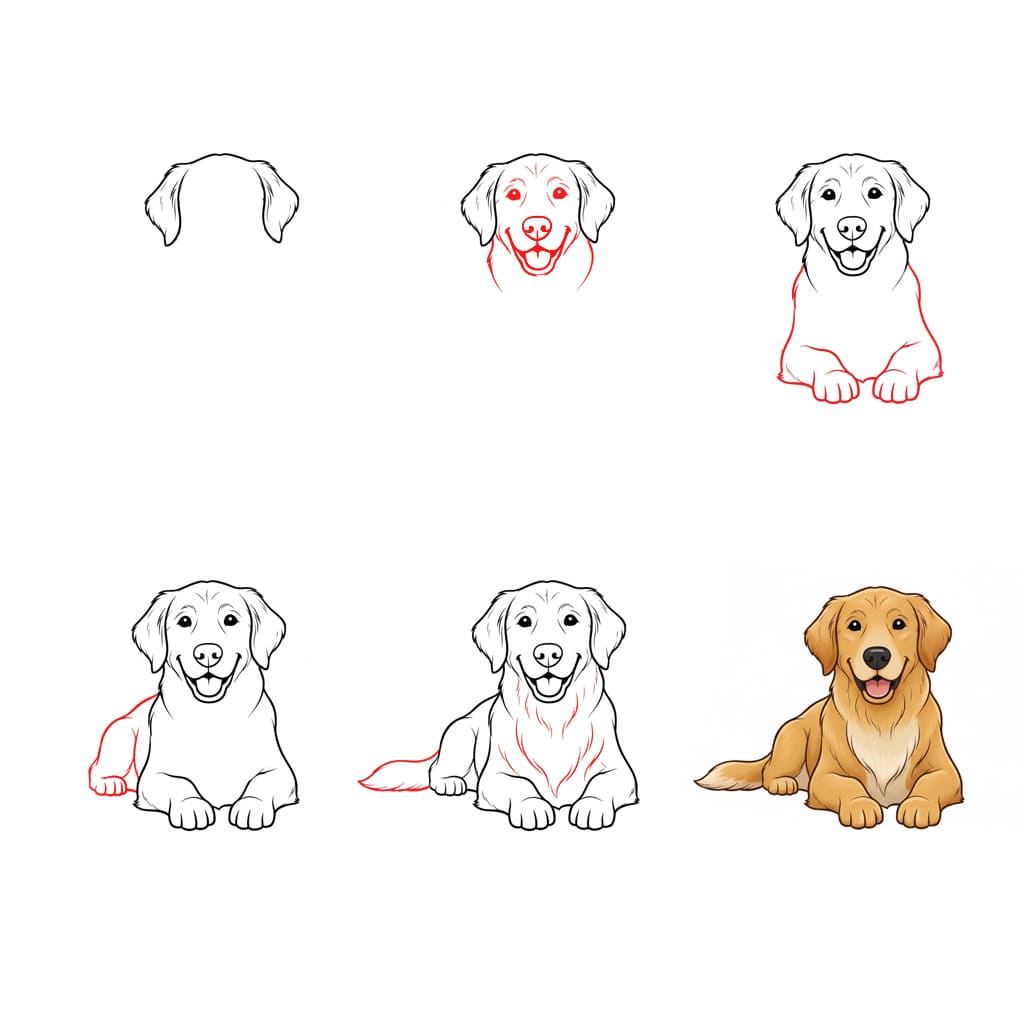 Golden Retriever couché dessin