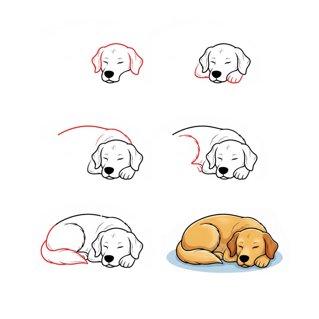 Golden Retriever qui dortGolden Retriever qui dort dessin