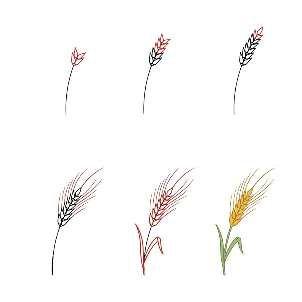 Blé fin dessin
