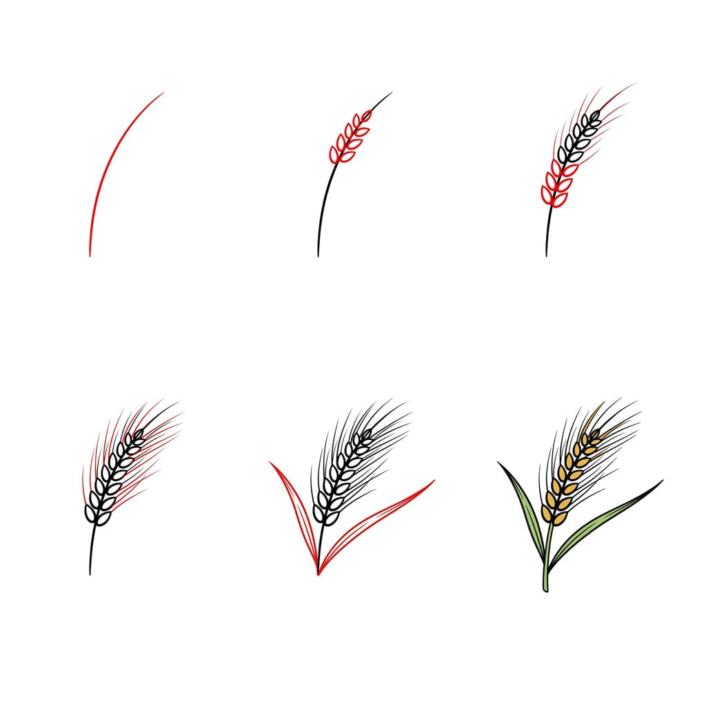 Blé gratuit dessin