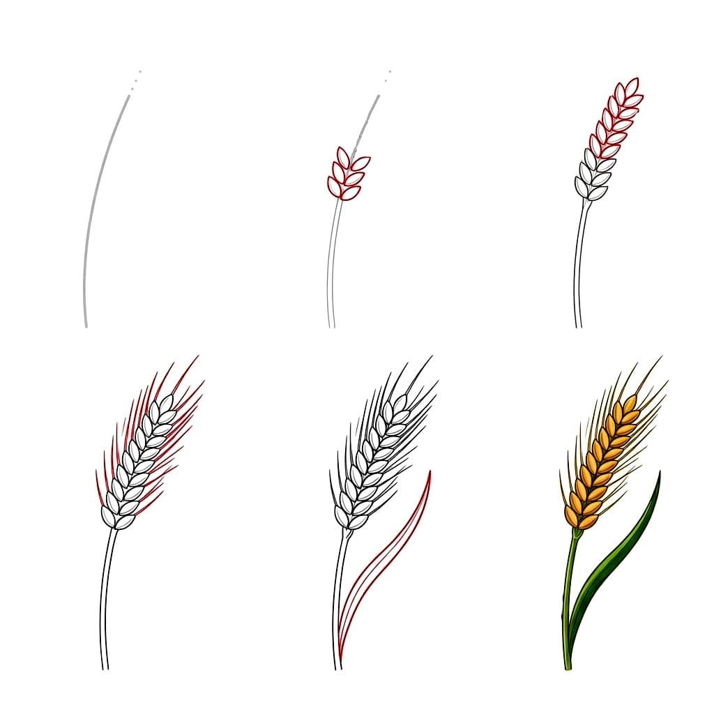 Blé simple dessin
