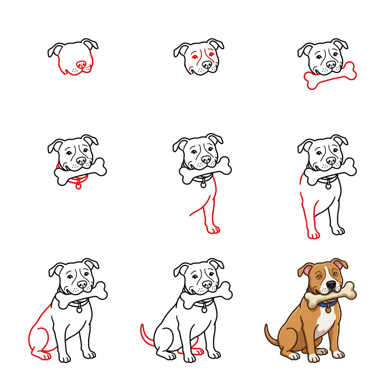 Pitbull avec un os dessin