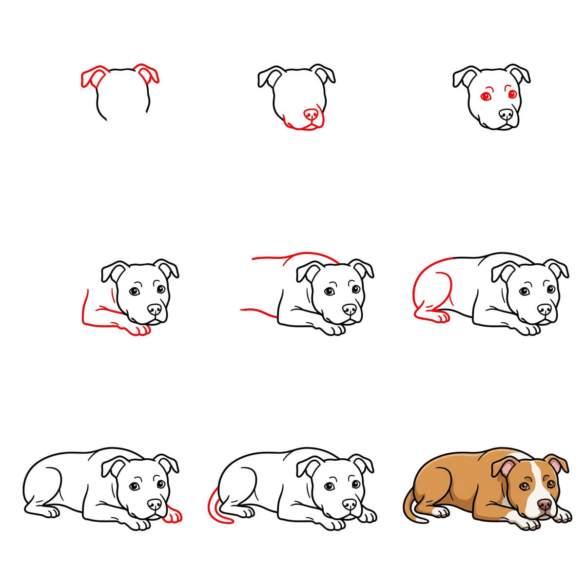 Pitbull couché dessin