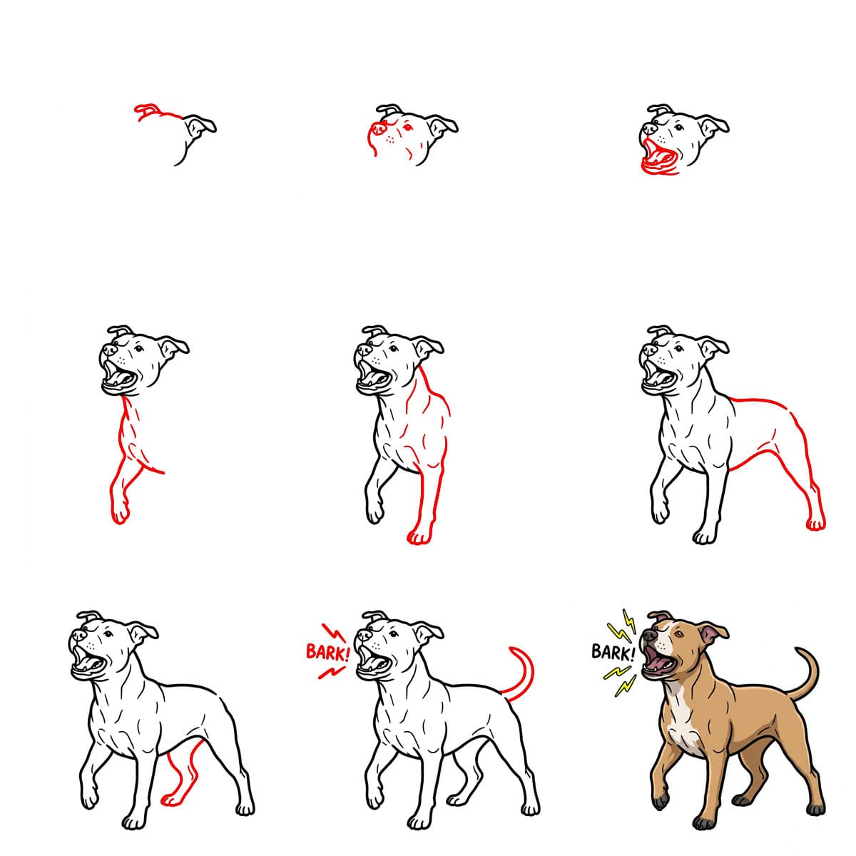 Pitbull qui aboie dessin