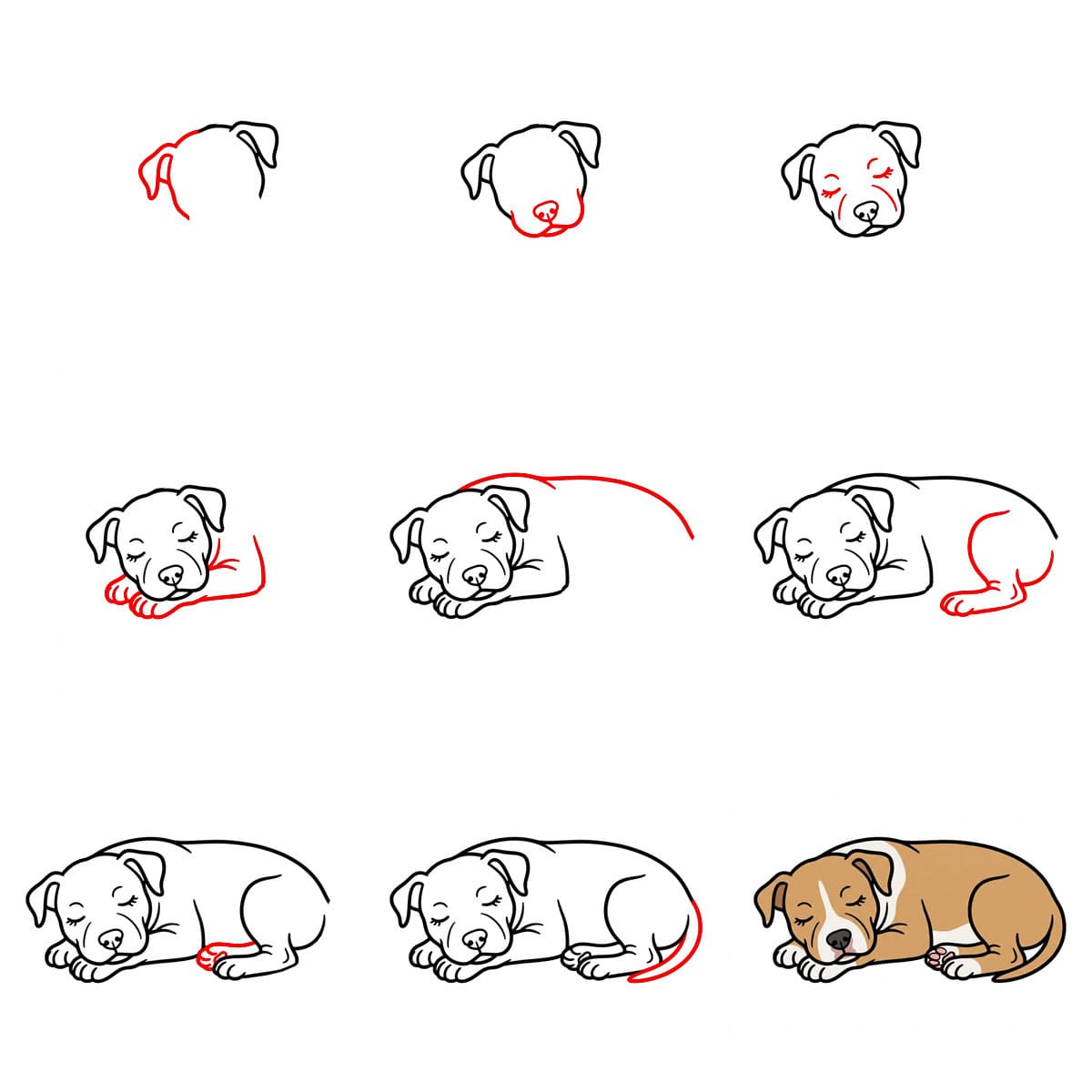 Pitbull qui dort dessin