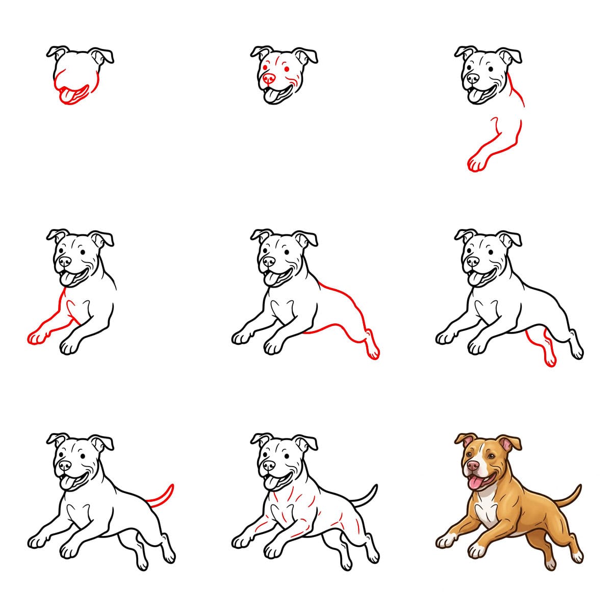 Pitbull qui saute dessin