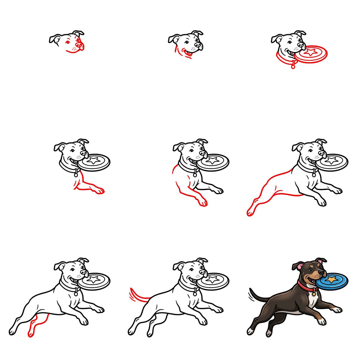 Pitbull qui saute et attrape une balle dessin