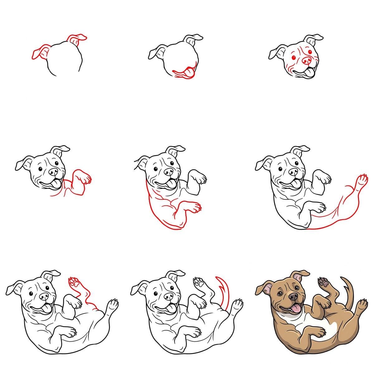 Pitbull qui se roule par terre dessin