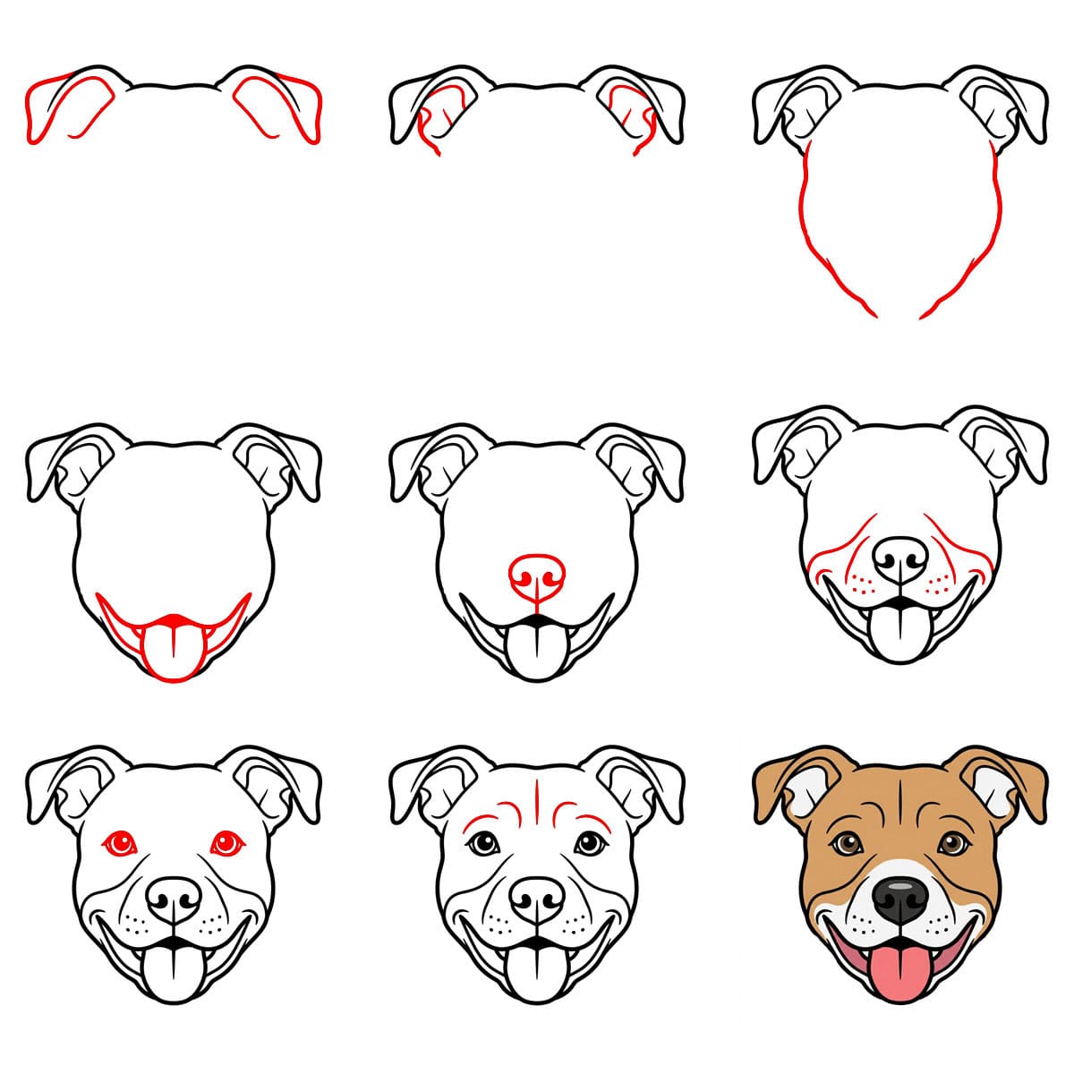 Pitbull souriant dessin