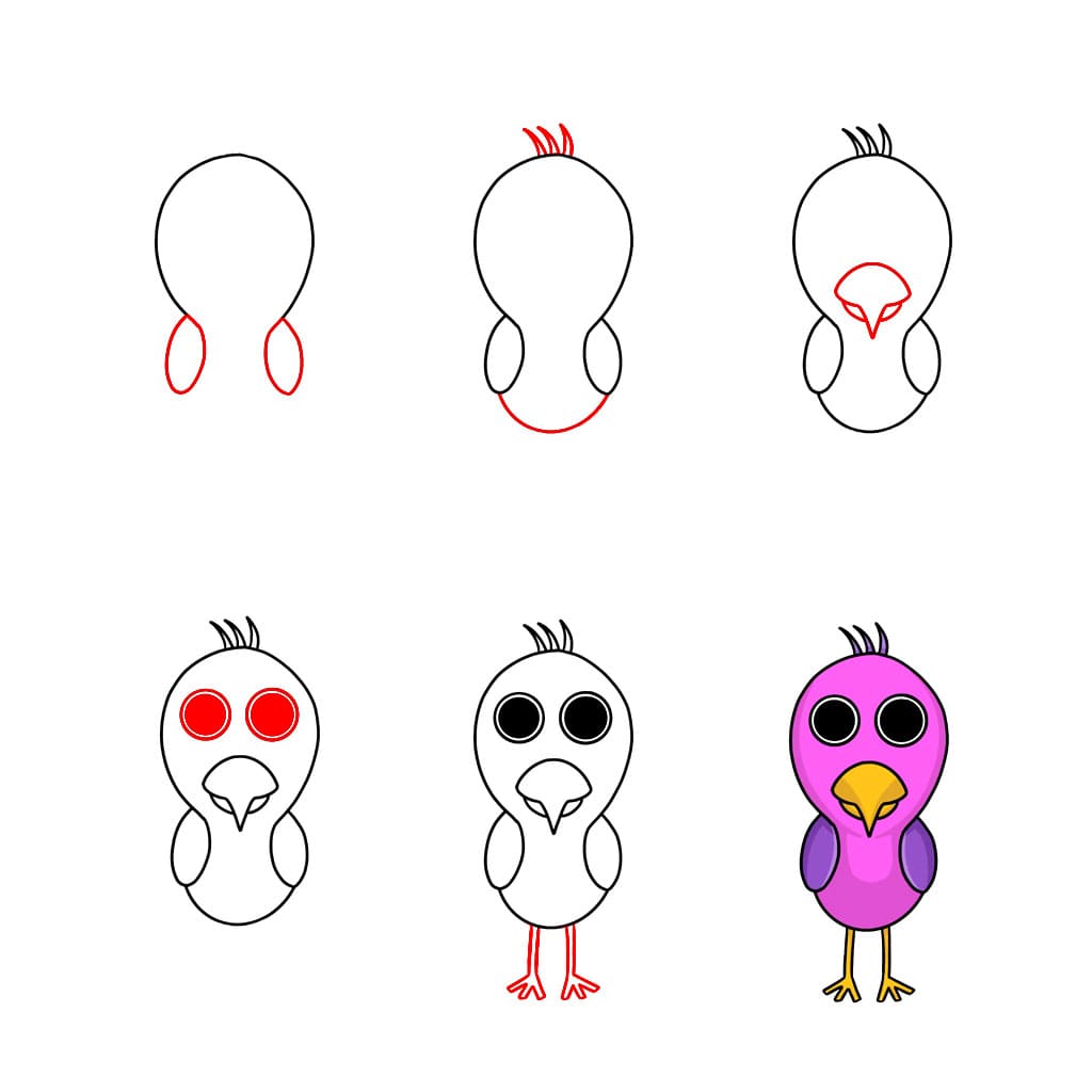 Poussin d'Opila dessin