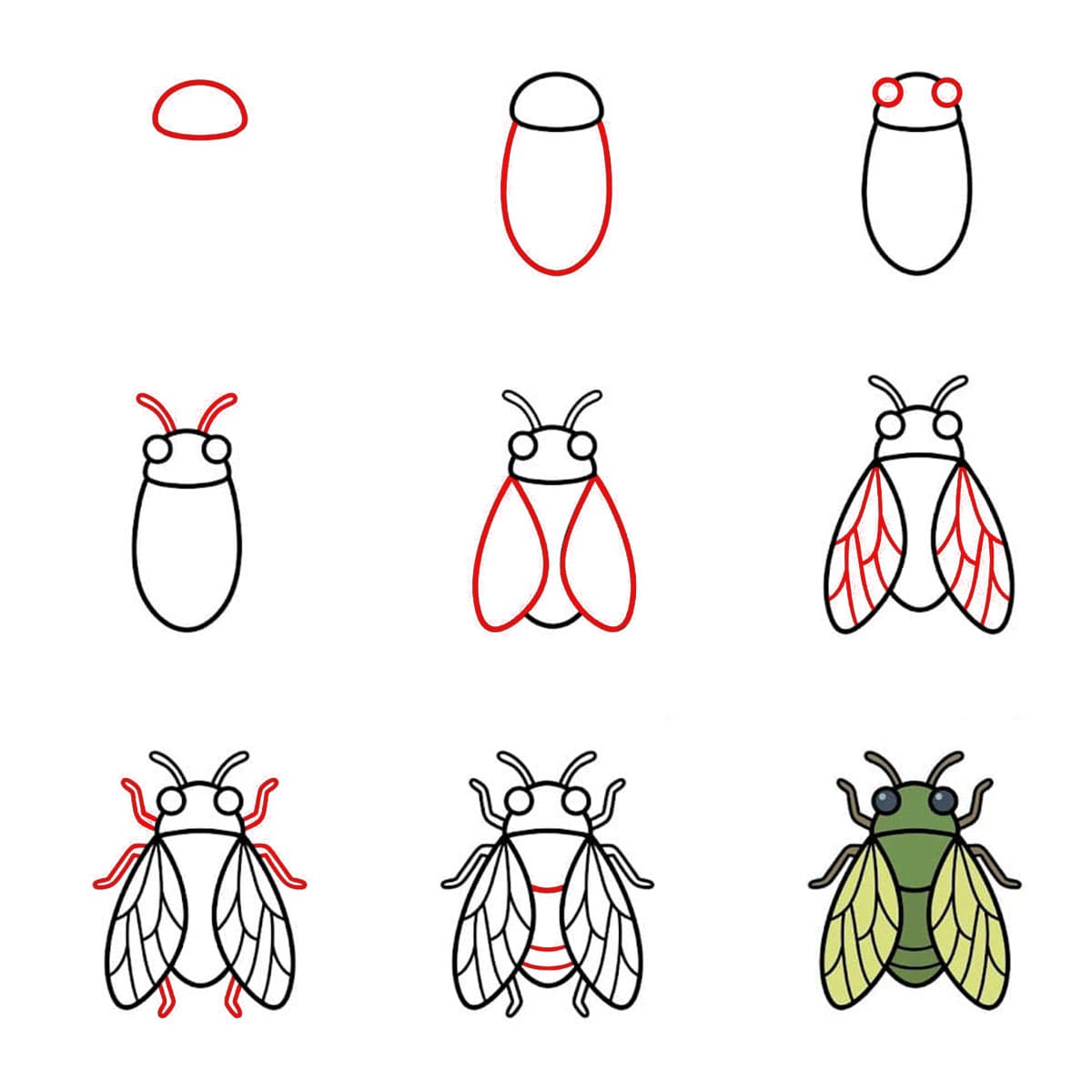 Cigale pour enfants dessin