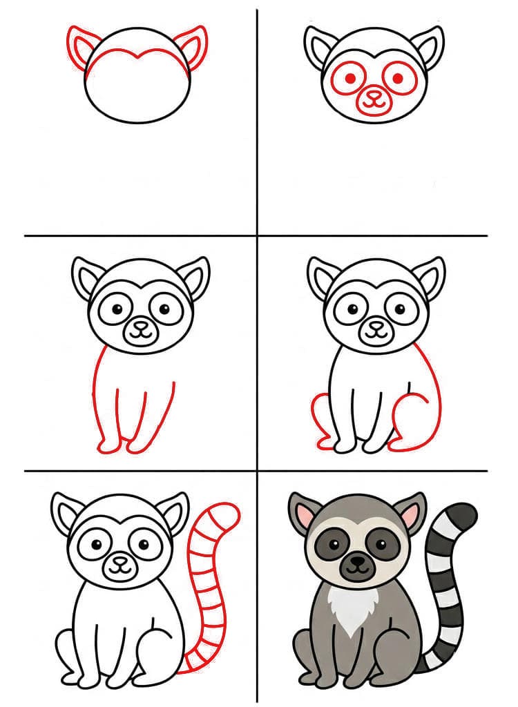 Lémurien simple dessin