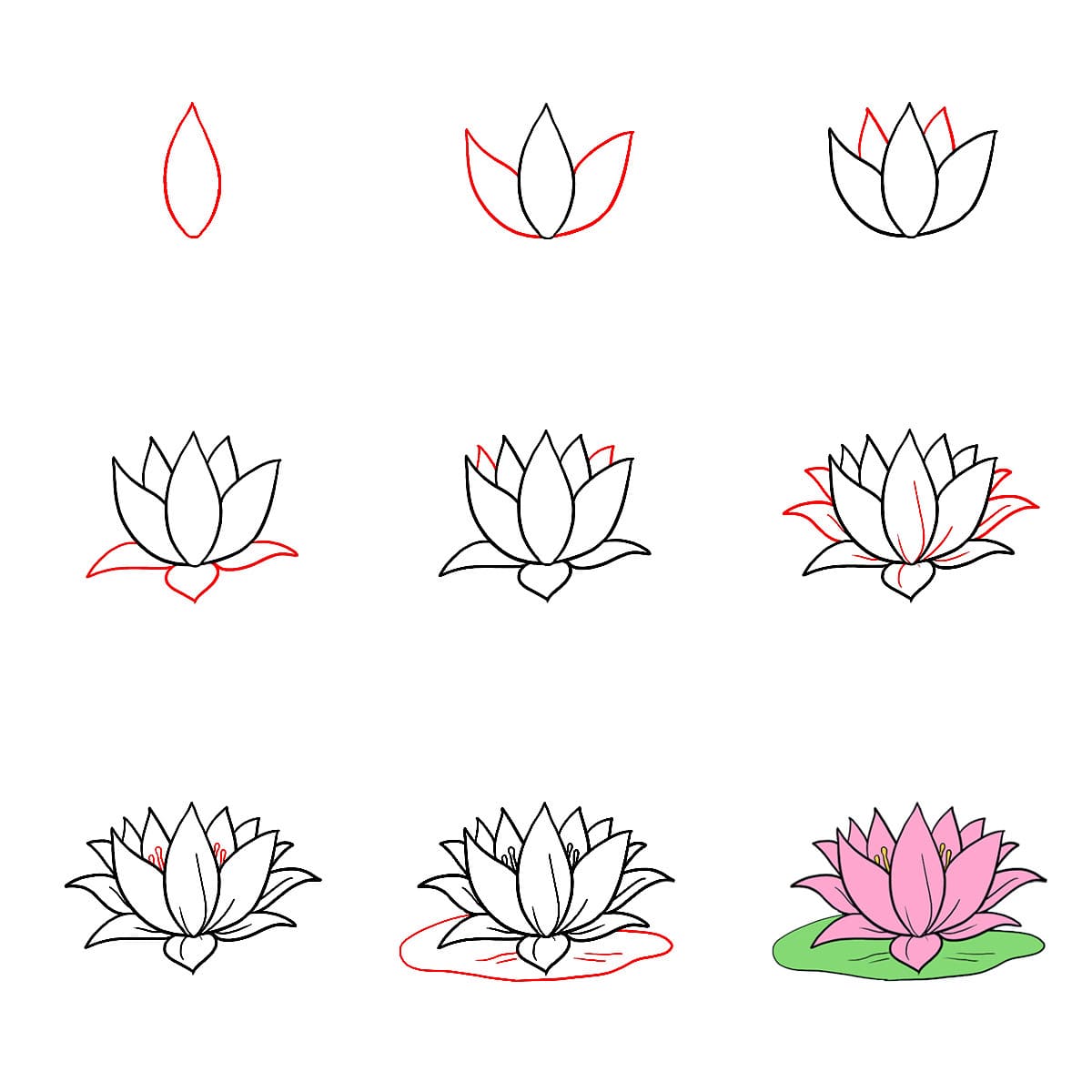 Image de lotus dessin