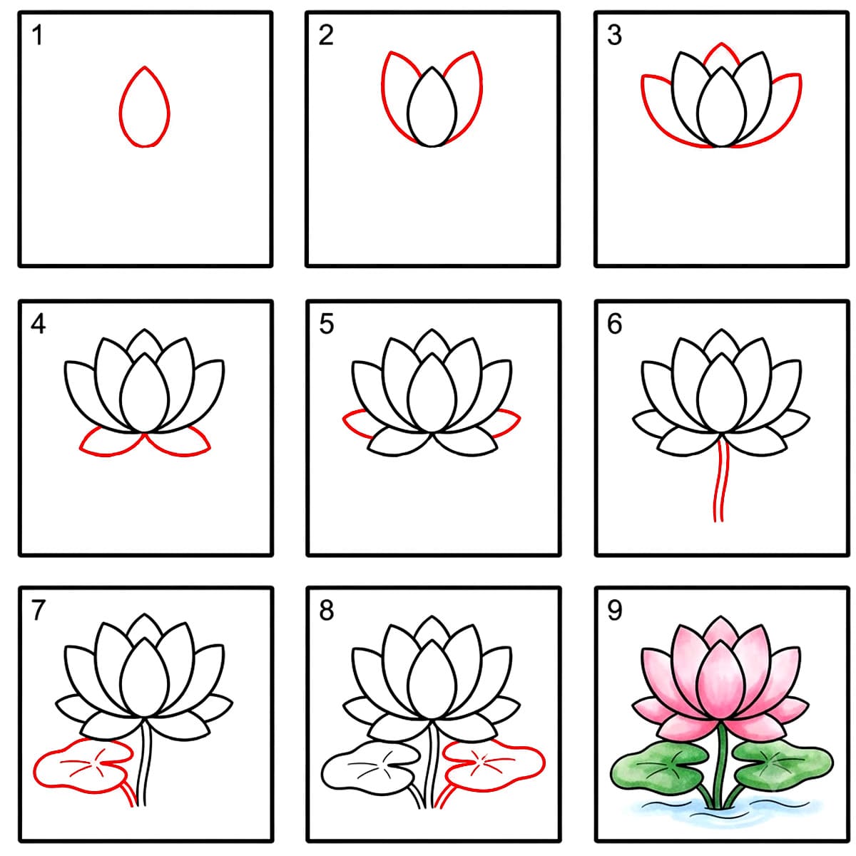 Lotus à plusieurs niveaux dessin