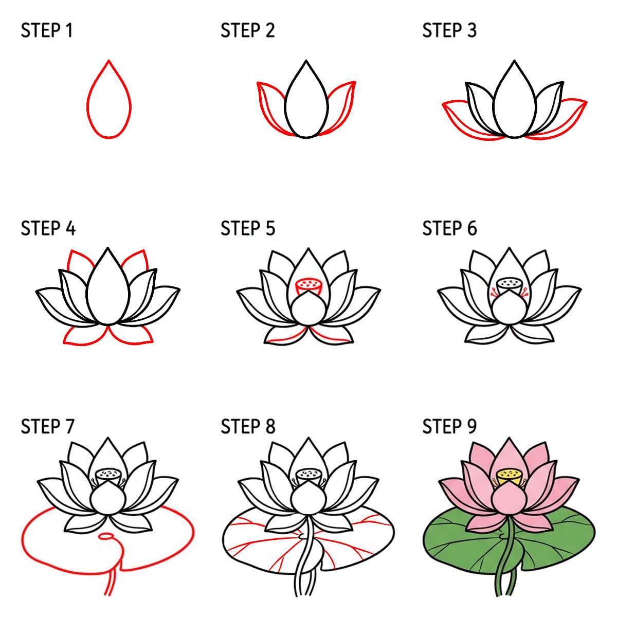 Lotus classique dessin
