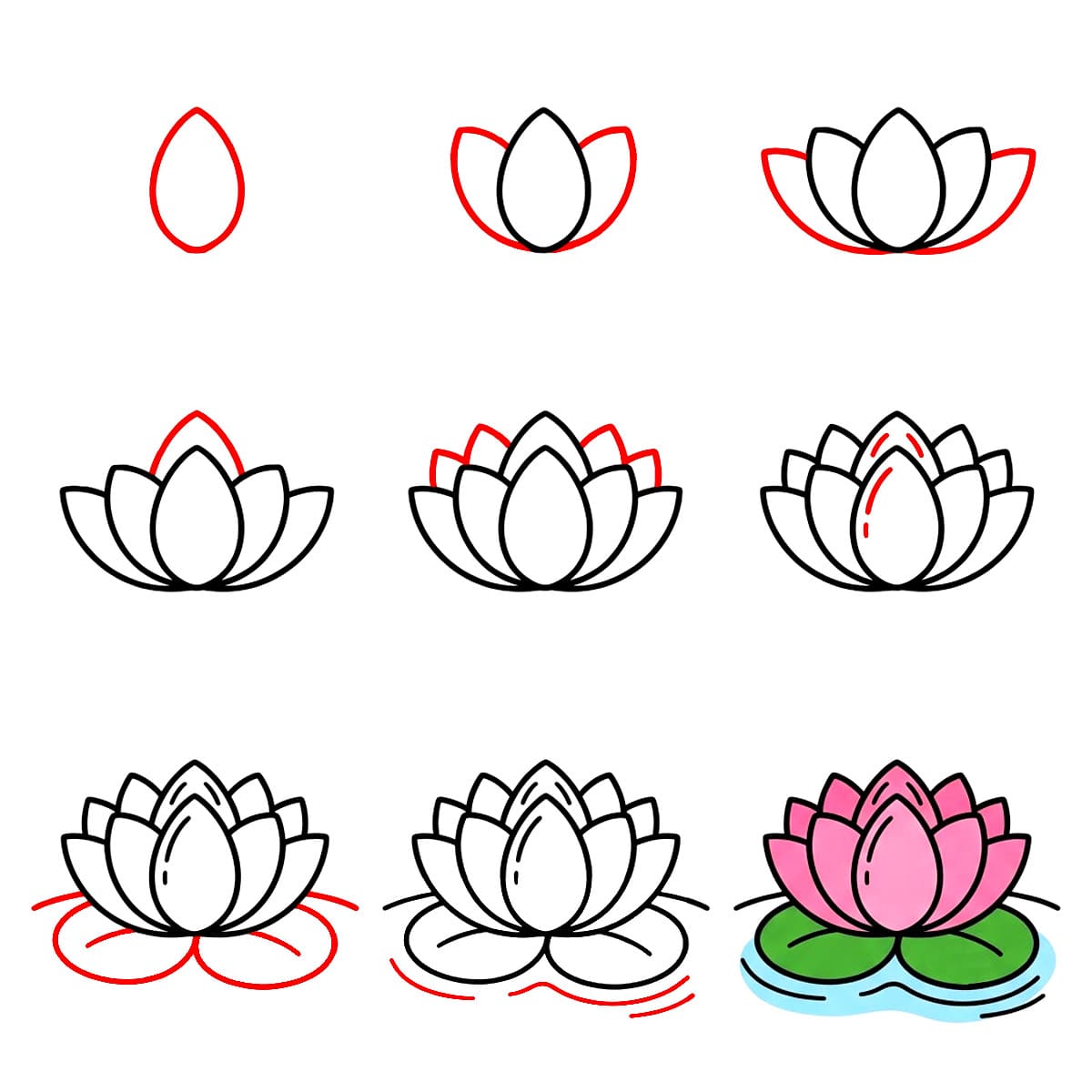 Lotus élégant dessin