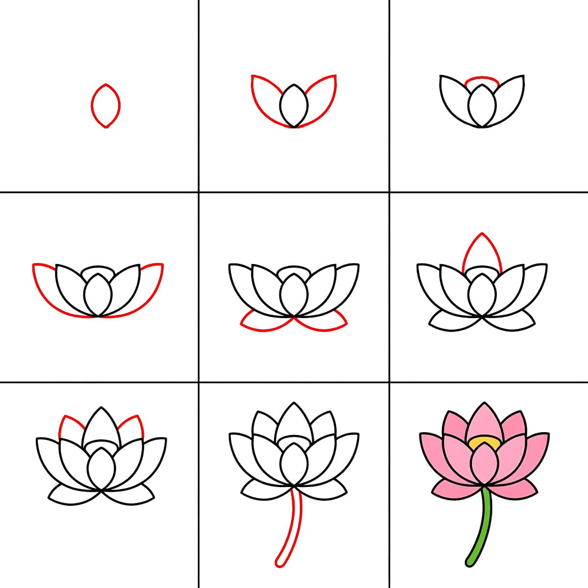 Lotus en fleurs dessin