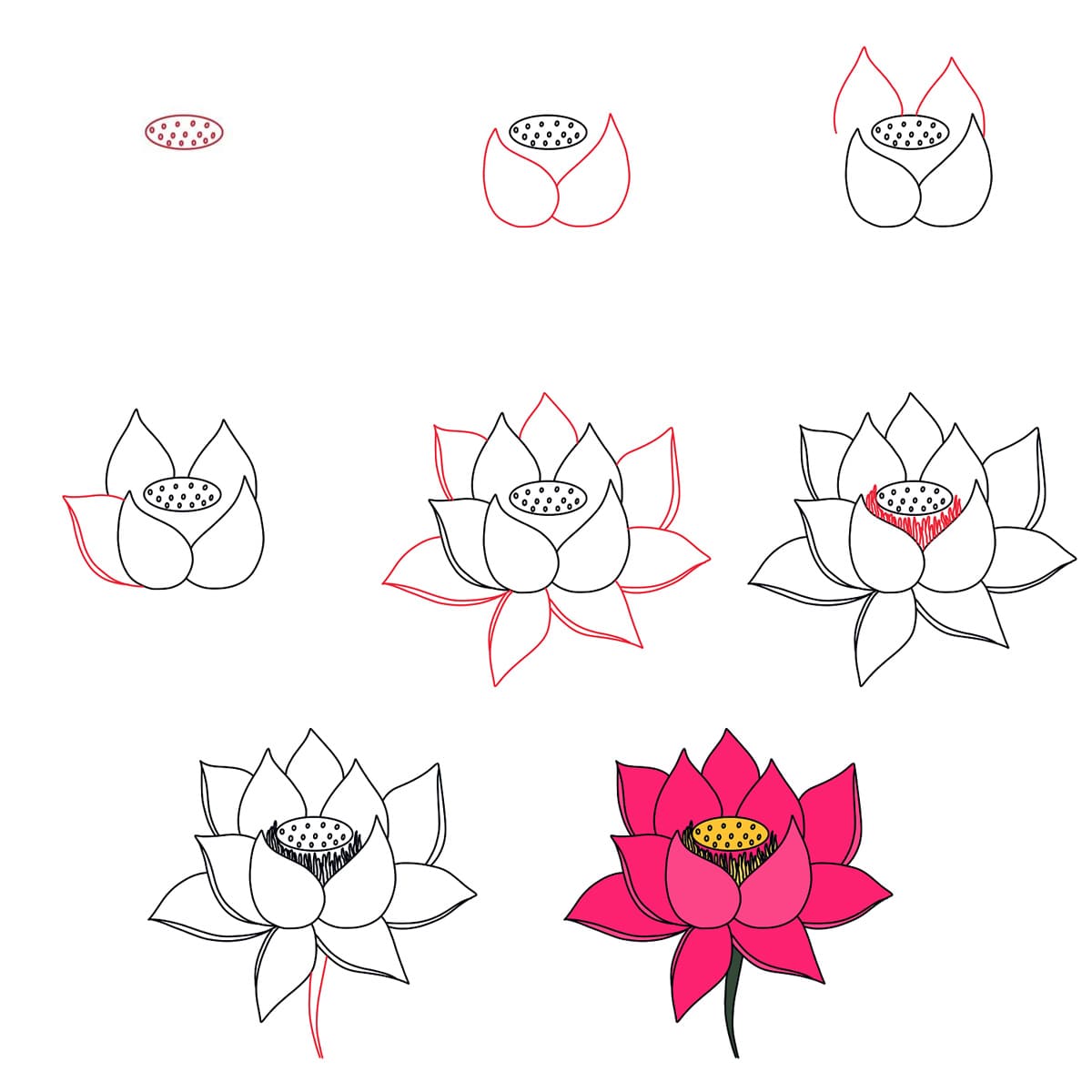 Lotus flottant dessin
