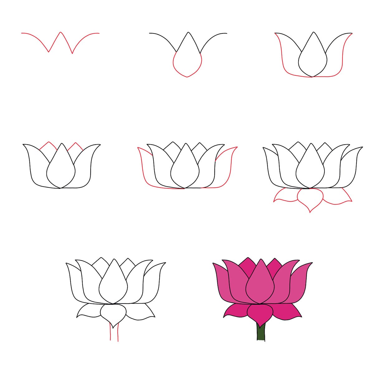 Lotus gracieux dessin
