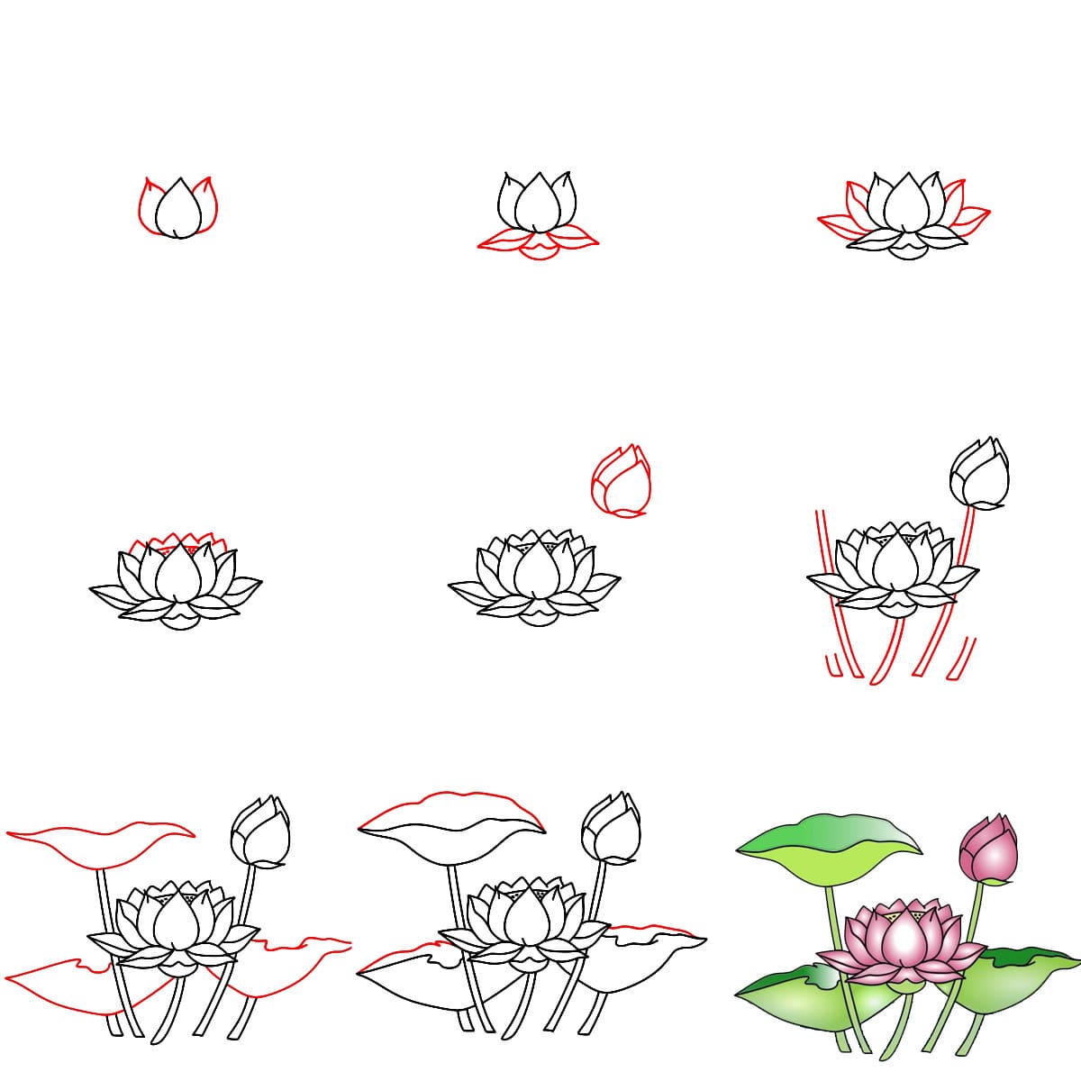 Lotus paisible dessin
