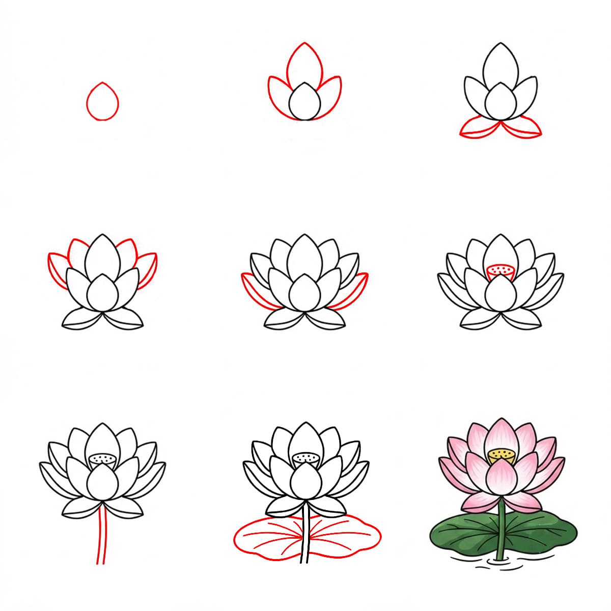 Lotus serein dessin