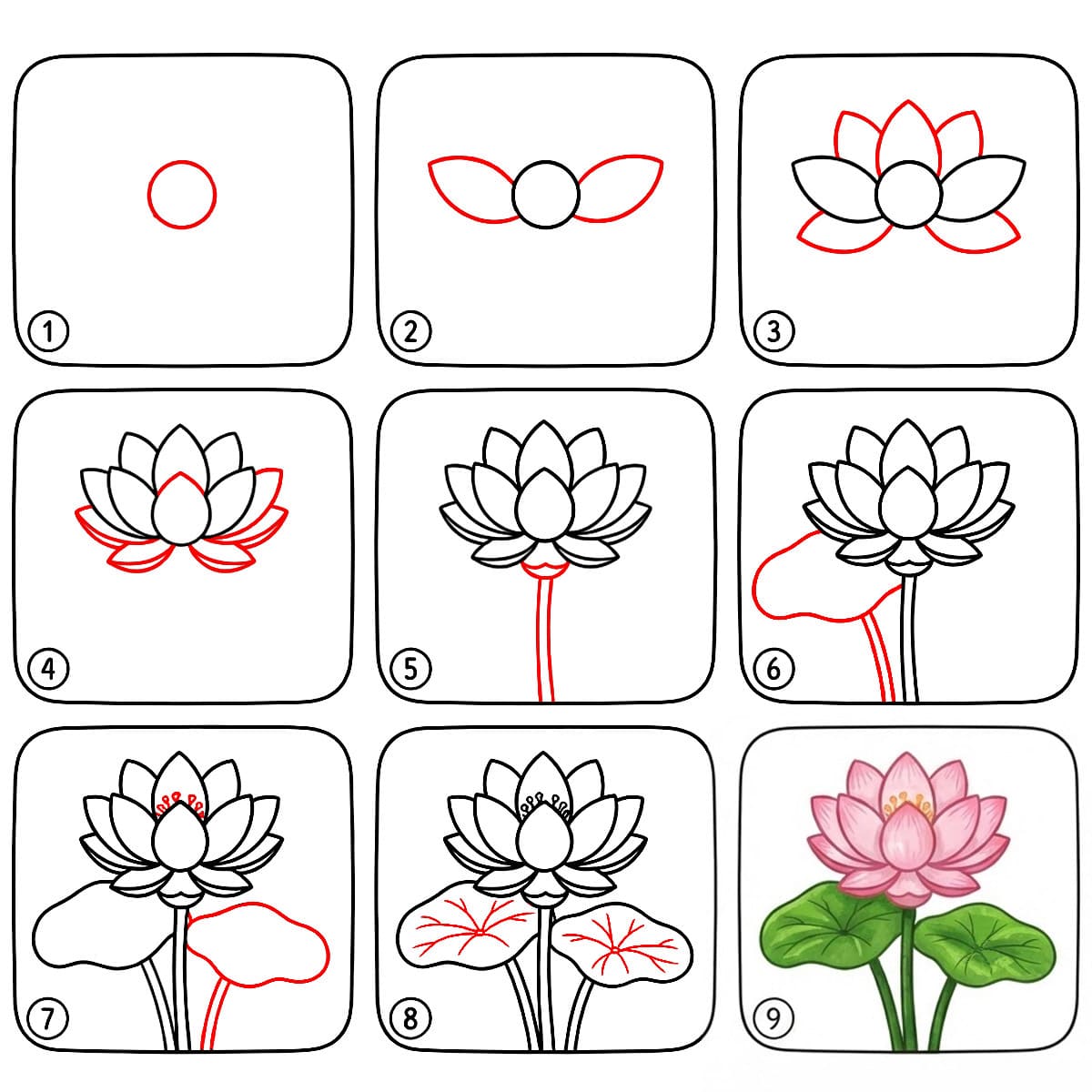 Lotus simple dessin