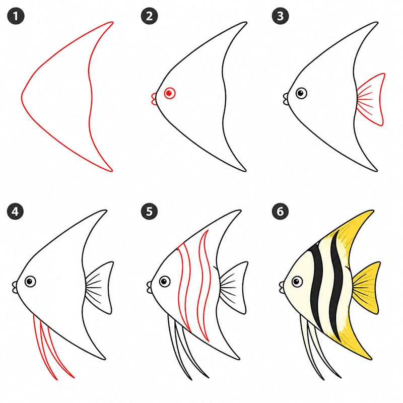 Image gratuite de poisson-ange dessin