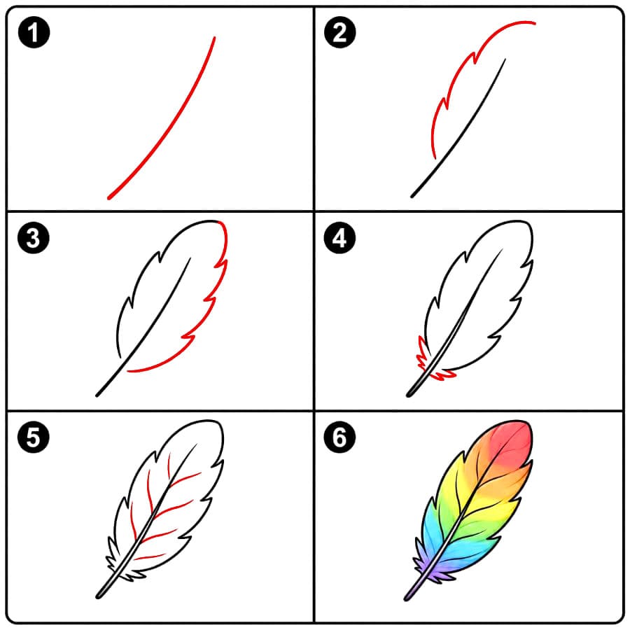 Plume dessin