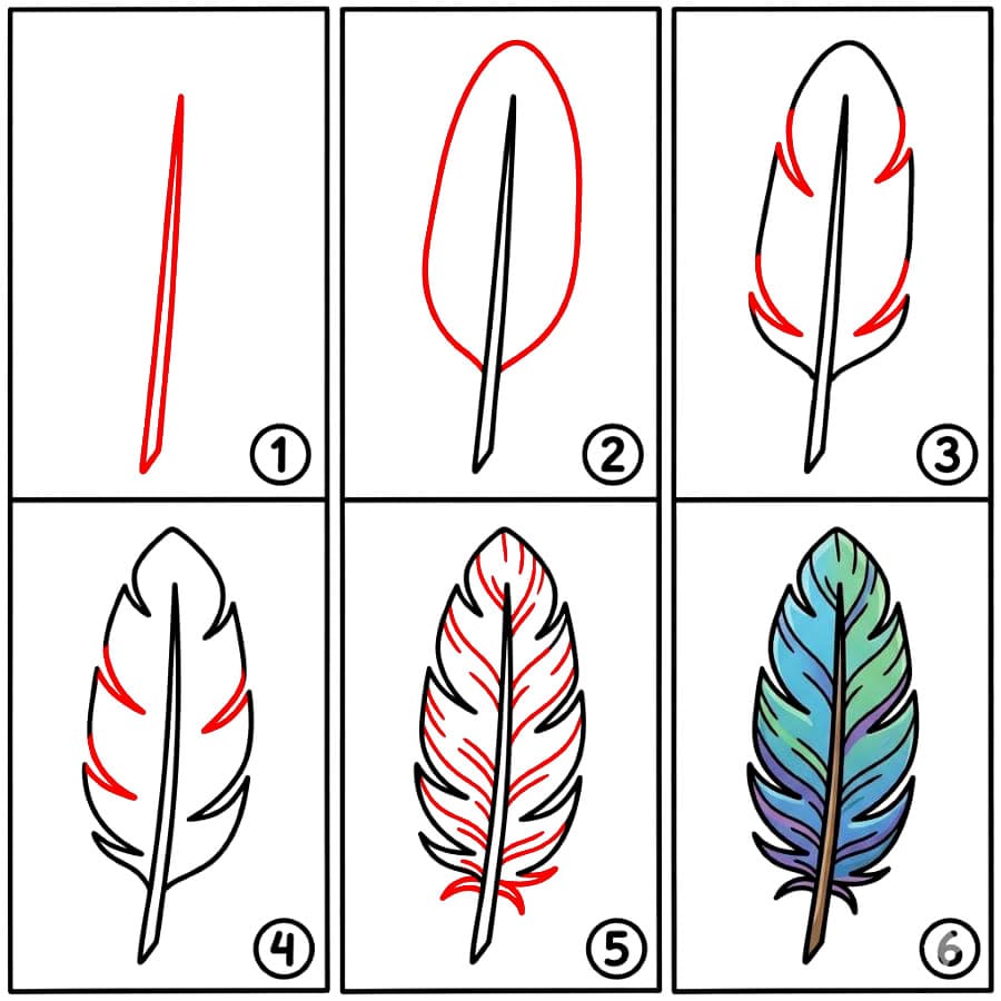 Plume colorée dessin