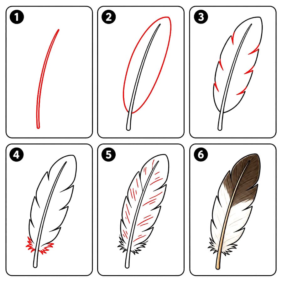 Plume d'aigle dessin