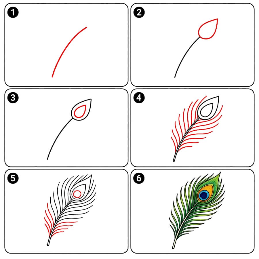 Plume de paon dessin