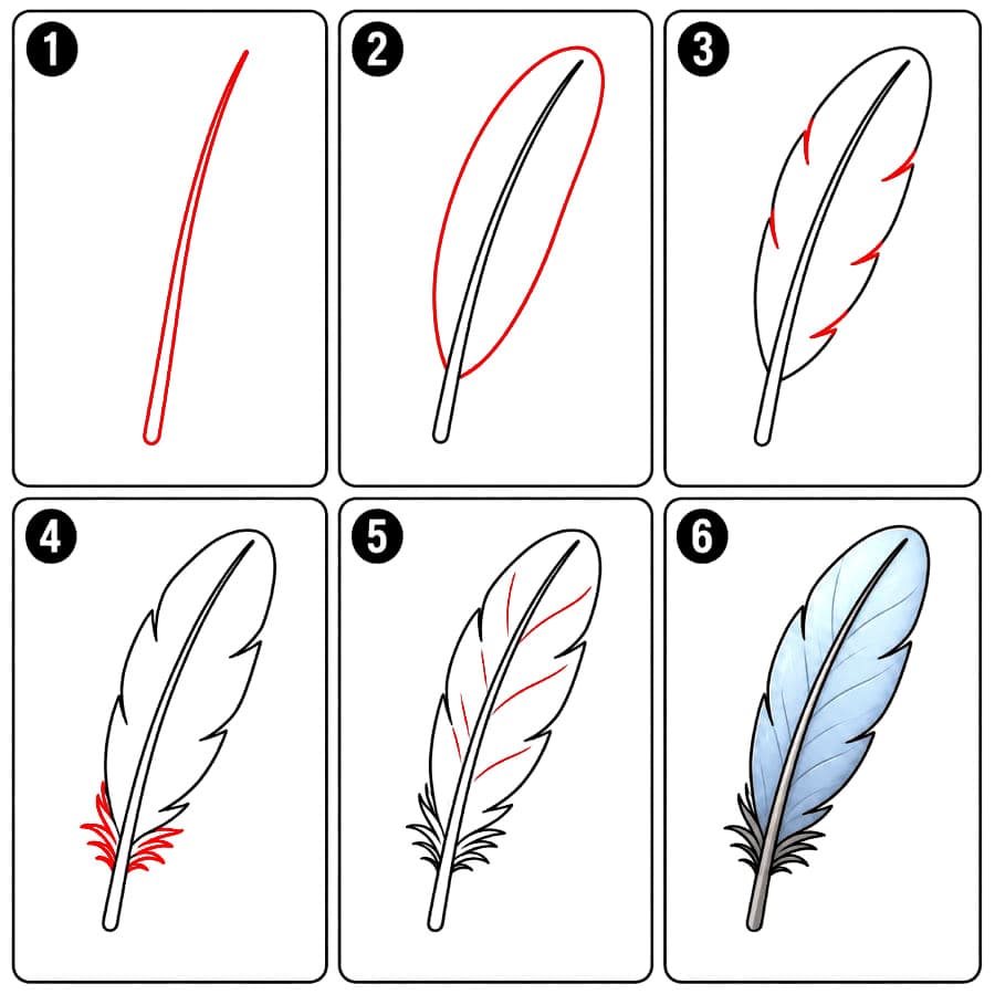 Plume élégante dessin