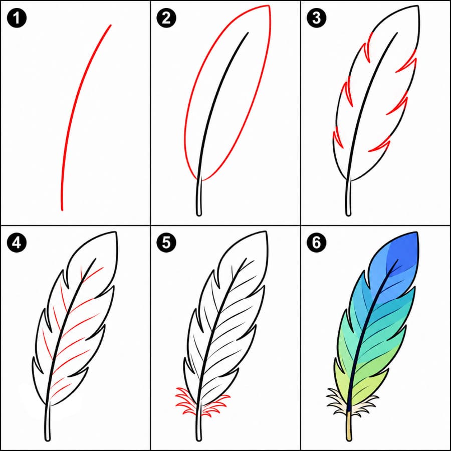 Plume gratuite dessin